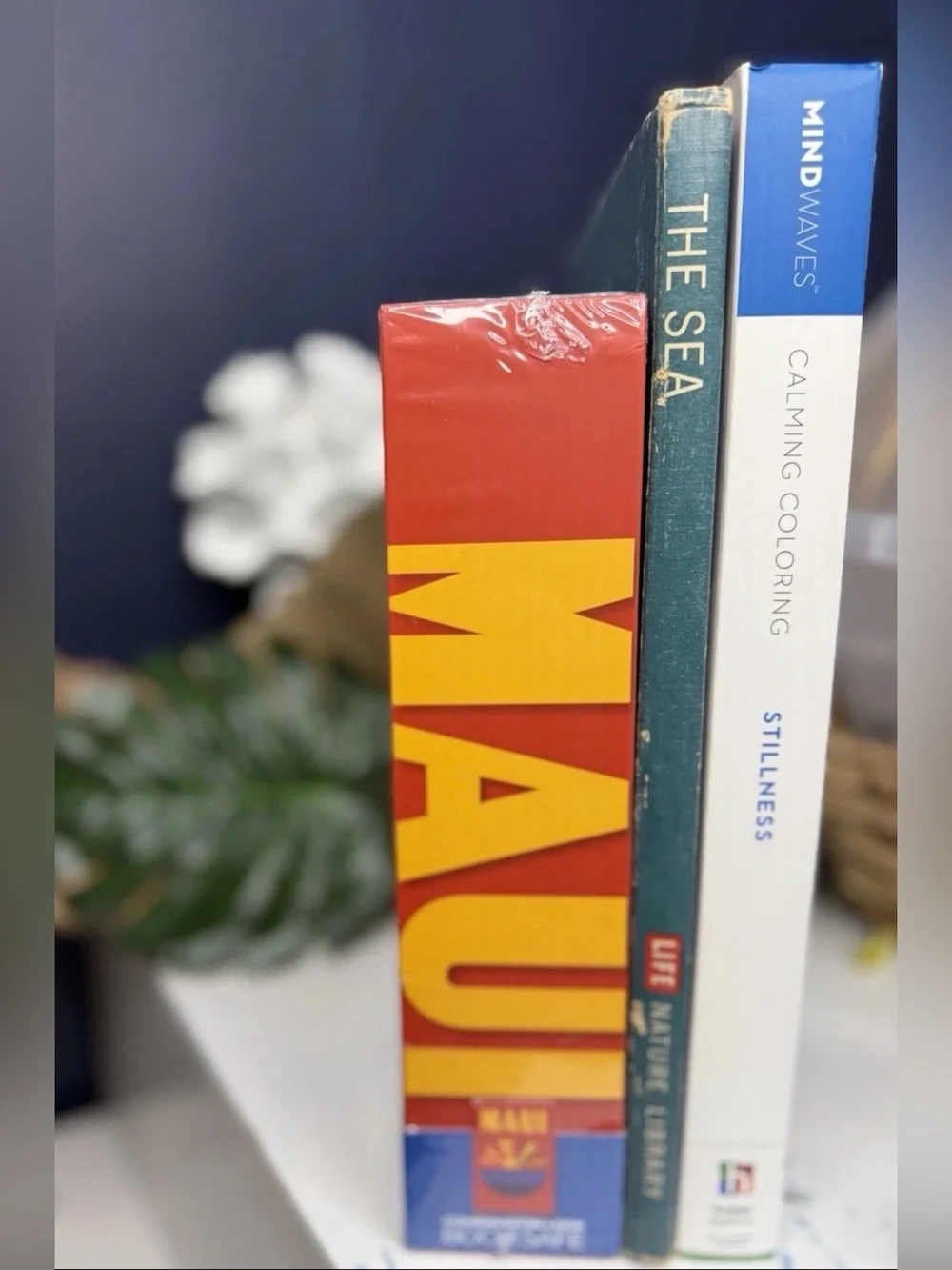 NEW! Arte de Casa MAUI BOOK BookSafe Portable Combination Lock Box Large Metal